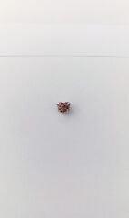 PEMBE KIRMIZI KALPLİ CHARM