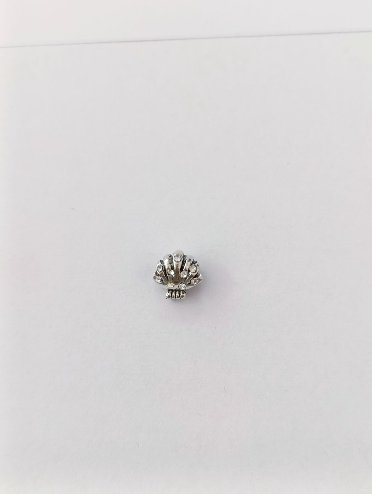 DENİZ KABUĞU CHARM