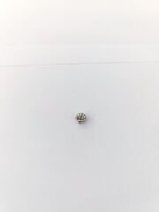 DENİZ KABUĞU CHARM