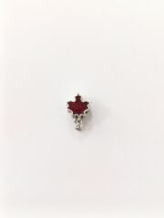 ÇINAR YAPRAĞI CHARM