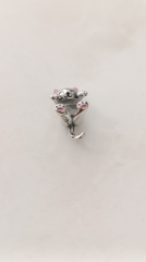 GÜMÜŞ SARILAN KEDİ CHARM