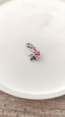 GÜMÜŞ YILDIZ CHARM