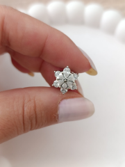 GÜMÜŞ HERBARYUM CHARM