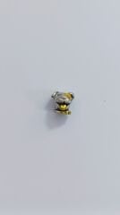 KÖPEK CHARM