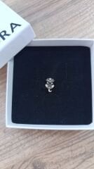 GÜMÜŞ SARILAN KÖPEK CHARM