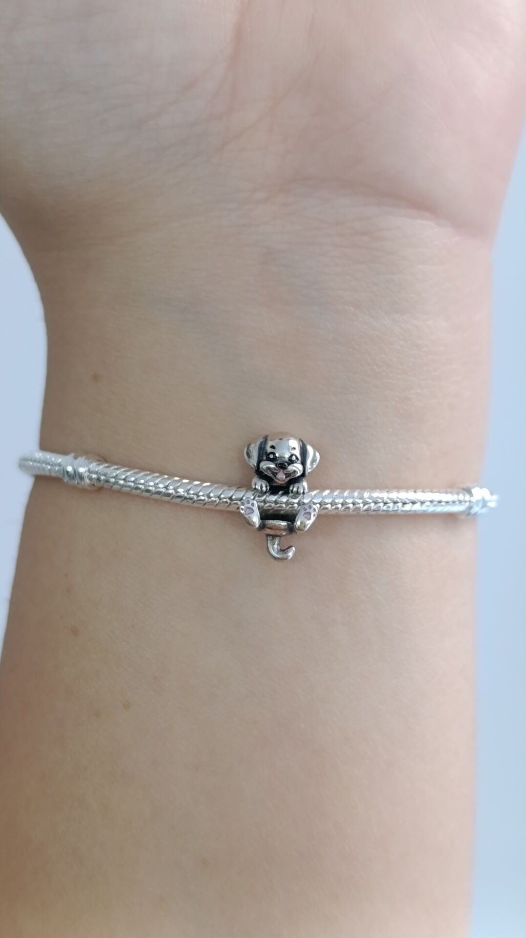 GÜMÜŞ SARILAN KÖPEK CHARM